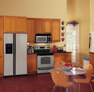 EASY DOES IT: Frigidaire's new line of stainless steel appliances are treated with a special coating that resists smudges and fin-gerprints. The Frigidaire EasyCare Genuine Stainless Steel line includes free-standing ranges that feature the new XtraZone, a 9,500 BTU oval burner strategically placed in the center of the cooktop to allow for better heat coverage on griddles and larger pans. For more information, call Frigidaire at 800-374-4432 or visit www.frigidaire.com.