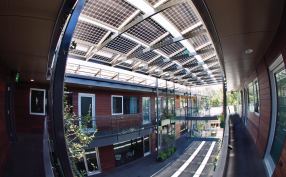 GREEN MACHINE: With its elaborate solar-panel system, downtown Austin’s 904 West boasts energy savings equivalent to planting almost 2,600 trees, or removing 17 cars from the road, according to local utility company Austin Energy.