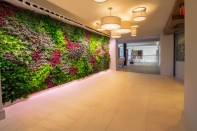 The Living Green Wall at Fuse Cambridge, which includes various plants with health and sustainability benefits. 
