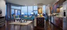 In addition to skyline views, the units at NewCity in Chicago feature 9-foot ceilings, faux-wood floors, and open plans.