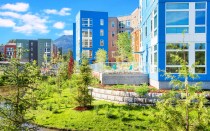 green space, outdoors, gardens