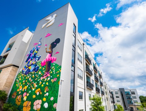 RangeWater's Skylark in Atlanta utilized local artists, including Eric Nine who painted this mural, to help beautify the neighborhood and create engagement.