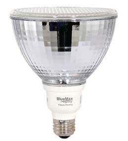 Full Spectrum Solutions offers a dimmable fluorescent bulb called BlueMax, which can withstand high temperatures in enclosed fixtures and simulates sunlight without the harmful UV rays. It also saves up to 80 percent in energy over standard bulbs.