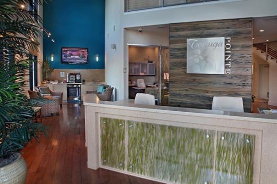 St. Petersberg, Florida Apartment Development Tortuga with interiors by KDS Interiors out of Tampa