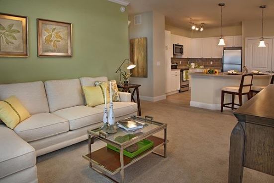 St. Petersberg, Florida Apartment Development Tortuga with interiors by KDS Interiors out of Tampa