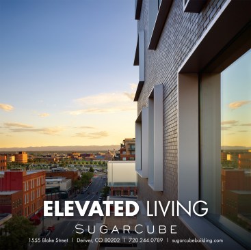luxury apartments, marketing, effective photography, urban living, downtown, luxury for lease, website design