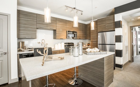 A high-end luxury kitchen at The Calida Group's Elysian at the District Property.