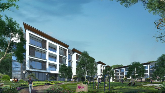 Homz's UP brand will target value seekers.